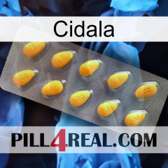 Cidala cialis1